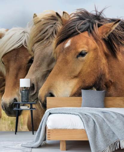 Horses Portraits Wall Mural