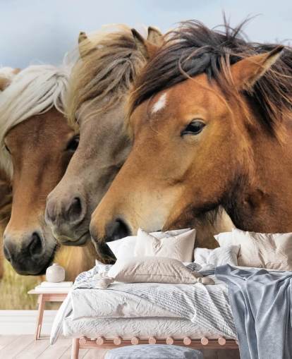 Horses Portraits Wall Mural