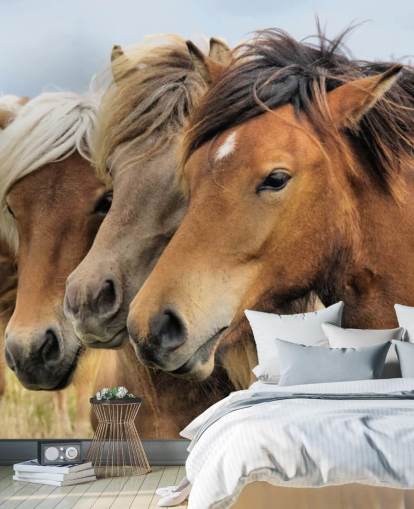 Horses Portraits Muurschildering Horses Portraits Muurschildering