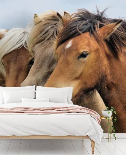 Mural de pared Retratos de caballos