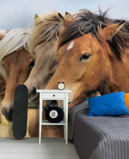 Horses Portraits Wall Mural