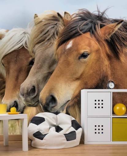 Horses Portraits Wall Mural