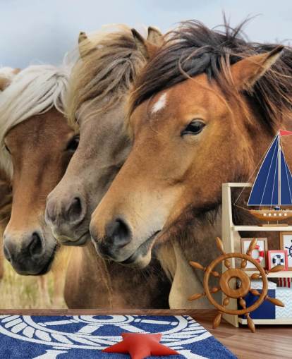 Horses Portraits Wall Mural