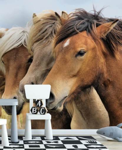 Horses Portraits Wall Mural