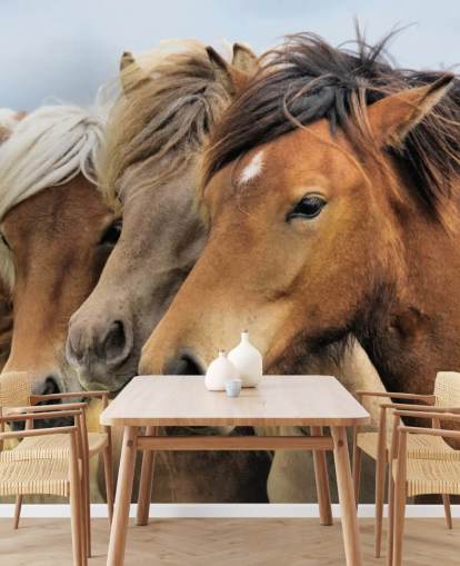 Decorazione murale con ritratti di cavalli Decorazione murale con ritratti di cavalli