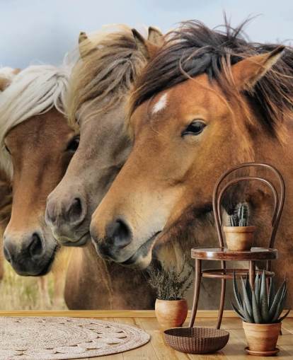 Horses Portraits Wall Mural