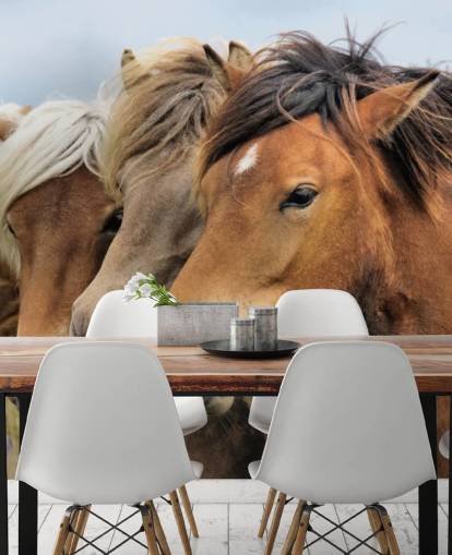 Horses Portraits Wall Mural Horses Portraits Wall Mural