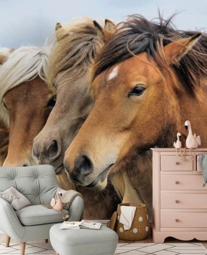 Horses Portraits Muurschildering