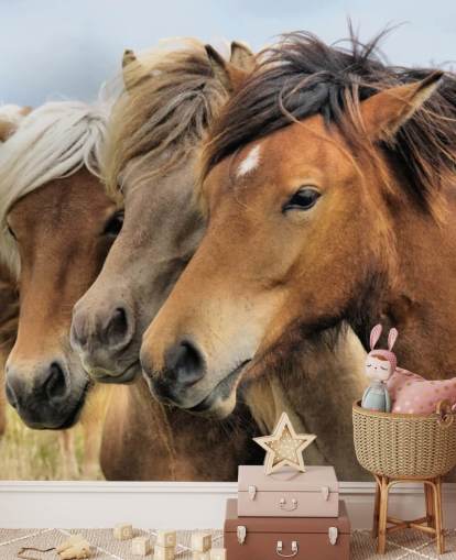 Horses Portraits Wall Mural Horses Portraits Wall Mural