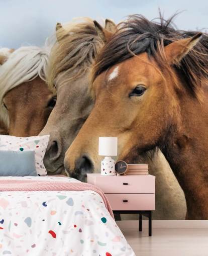 Horses Portraits Wall Mural