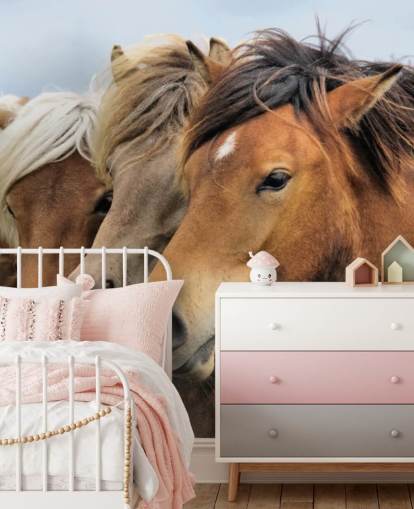 Horses Portraits Wall Mural