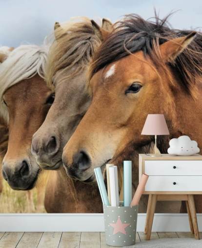 Horses Portraits Wall Mural