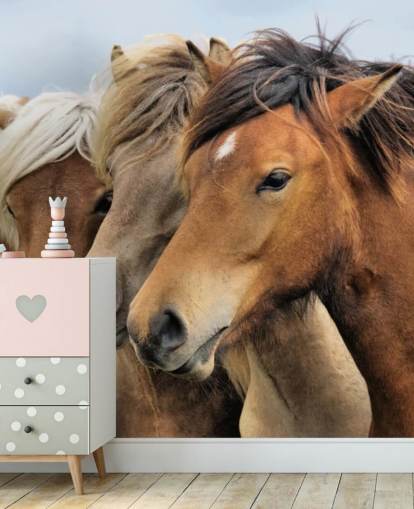 Decorazione murale con ritratti di cavalli Decorazione murale con ritratti di cavalli