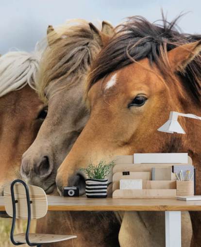 Horses Portraits Wall Mural Horses Portraits Wall Mural