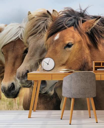 Horses Portraits Wall Mural Horses Portraits Wall Mural