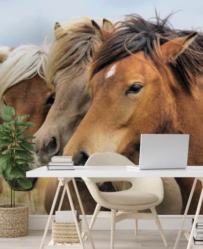 Horses Portraits Wall Mural Horses Portraits Wall Mural