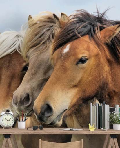 Horses Portraits Wall Mural