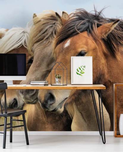 Horses Portraits Wall Mural