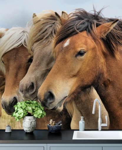 Horses Portraits Wall Mural