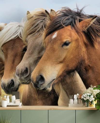 Horses Portraits Wall Mural