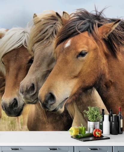 Horses Portraits Muurschildering Horses Portraits Muurschildering