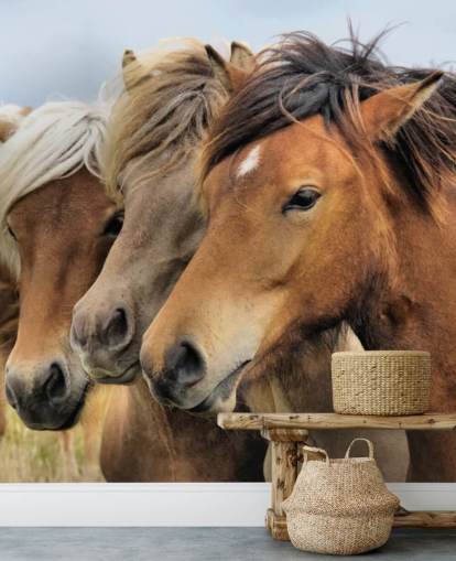 Horses Portraits Muurschildering