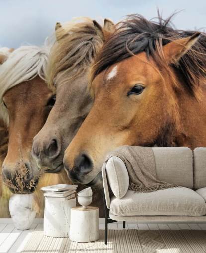 Mural de pared Retratos de caballos