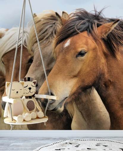 Horses Portraits Wall Mural