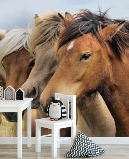 Decorazione murale con ritratti di cavalli Decorazione murale con ritratti di cavalli