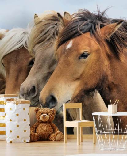 Decorazione murale con ritratti di cavalli