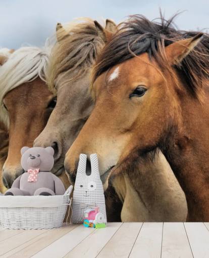 Horses Portraits Wall Mural