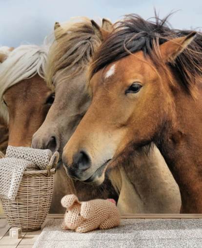 Horses Portraits Wall Mural