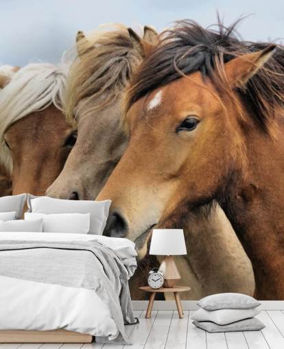 Horses Portraits Wall Mural Horses Portraits Wall Mural