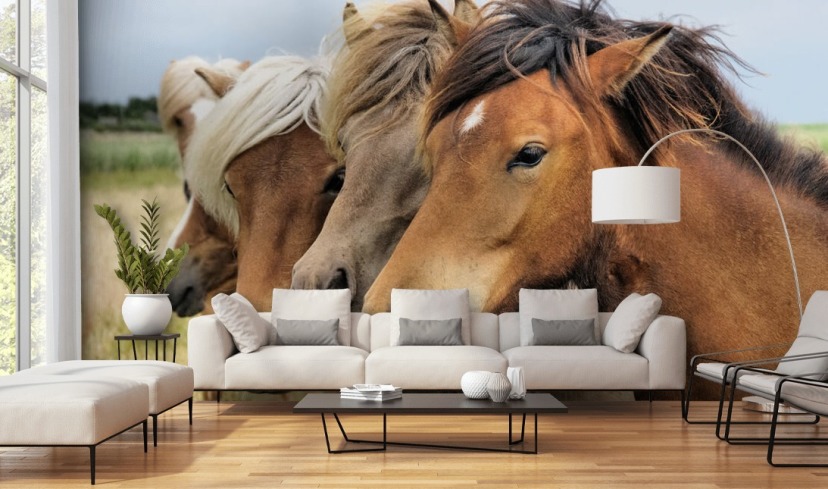 Horse Wallpaper & Wall Murals | Wallsauce UK