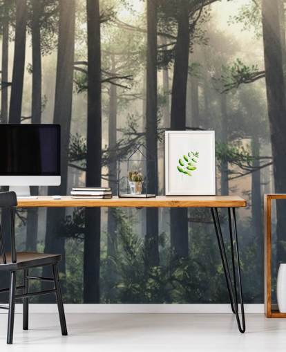 Misty Forest Baggrund