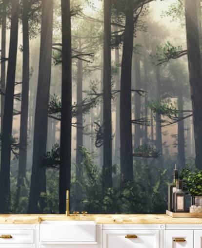 Misty Forest Baggrund