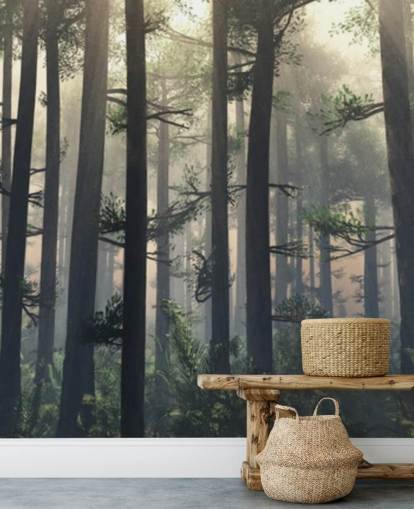 Misty Forest Wallpaper