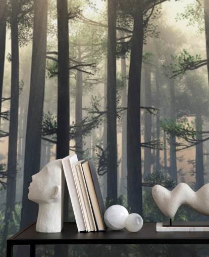 Fondo de pantalla Misty Forest Fondo de pantalla Misty Forest