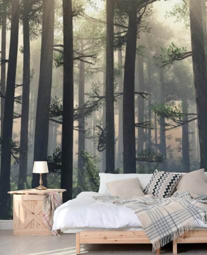 Papier peint Misty Forest