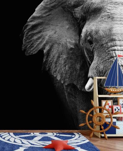 Sort og hvid halv elefant portræt vægmaleri Sort og hvid halv elefant portræt vægmaleri
