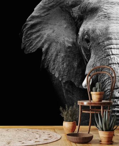 Black and White Half Elephant Portrait Wall Mural Black and White Half Elephant Portrait Wall Mural