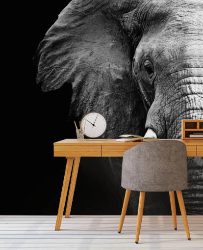 Black and White Half Elephant Portrait Wall Mural 
