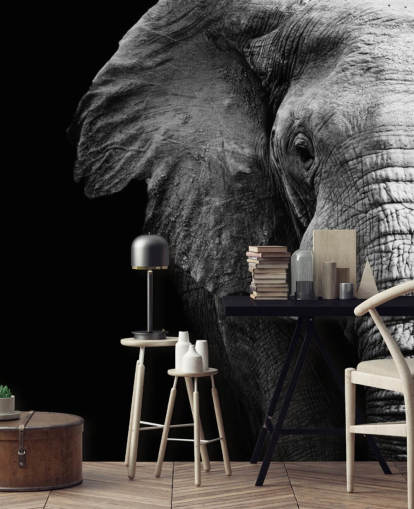 Black and White Half Elephant Portrait Wall Mural 