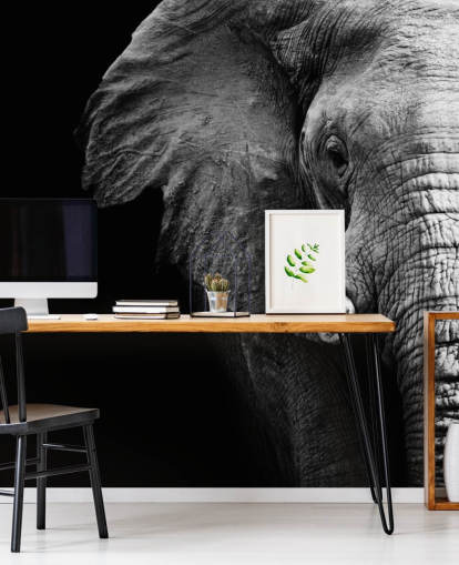 Black and White Half Elephant Portrait Wall Mural 