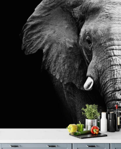 Black and White Half Elephant Portrait Wall Mural Black and White Half Elephant Portrait Wall Mural