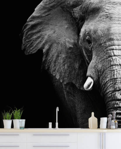 Zwart-witte halve olifant portret muurschildering 