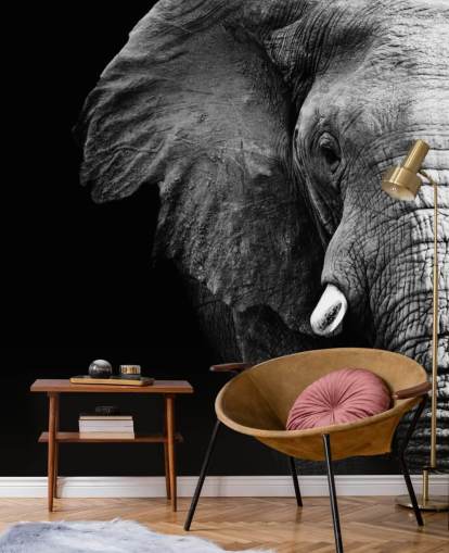 Black and White Half Elephant Portrait Wall Mural 