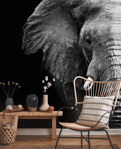 Black and White Half Elephant Portrait Wall Mural 