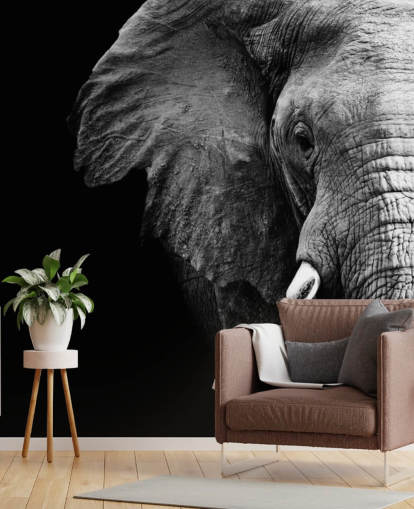 Black and White Half Elephant Portrait Wall Mural 