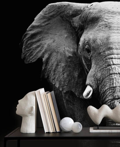 Black and White Half Elephant Portrait Wall Mural 